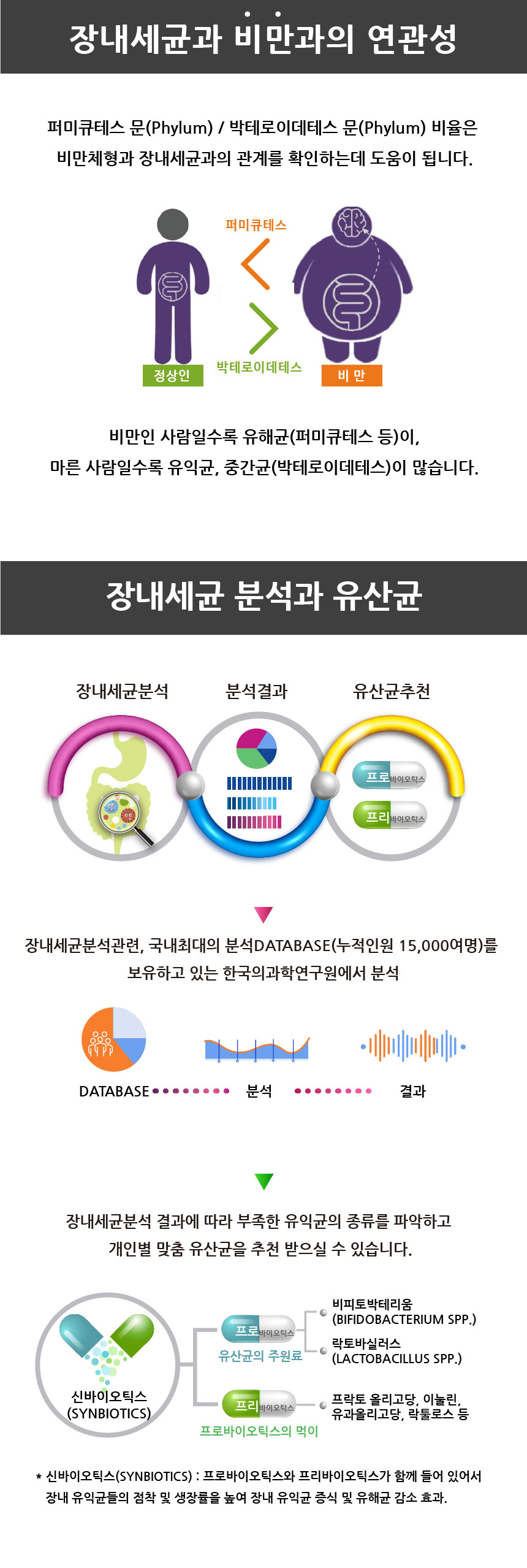 솔가유산균
