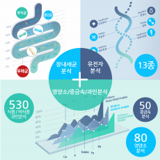 프리미엄종합맞춤패키지