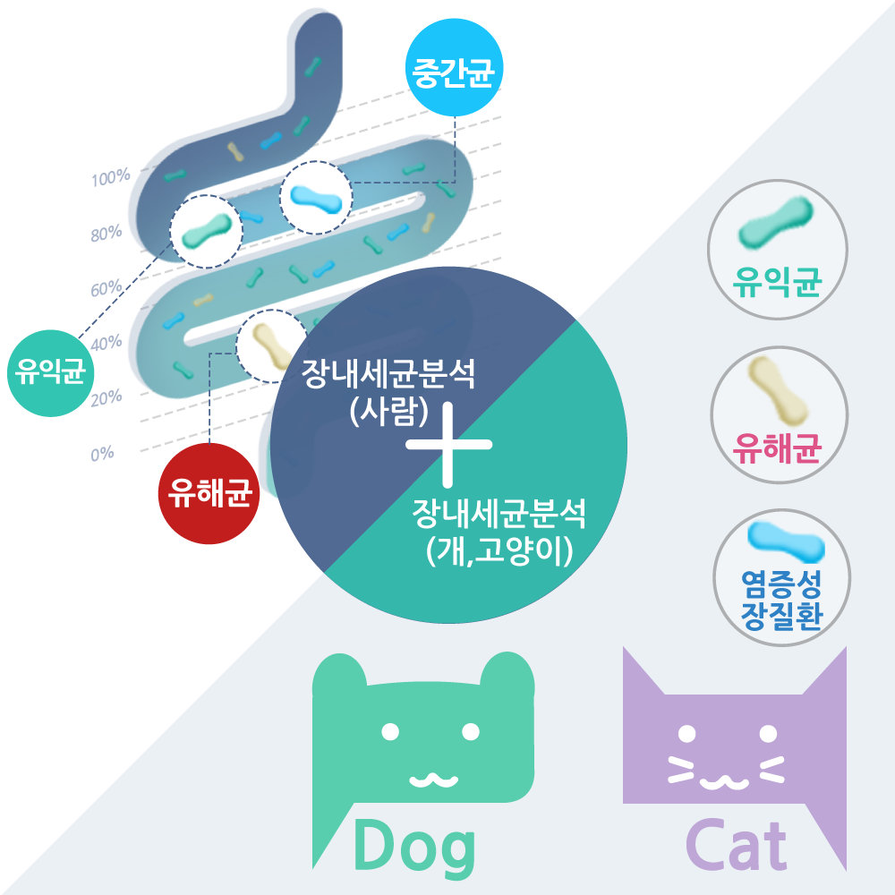 장내세균분석 사람+반려동물(개,고양이)