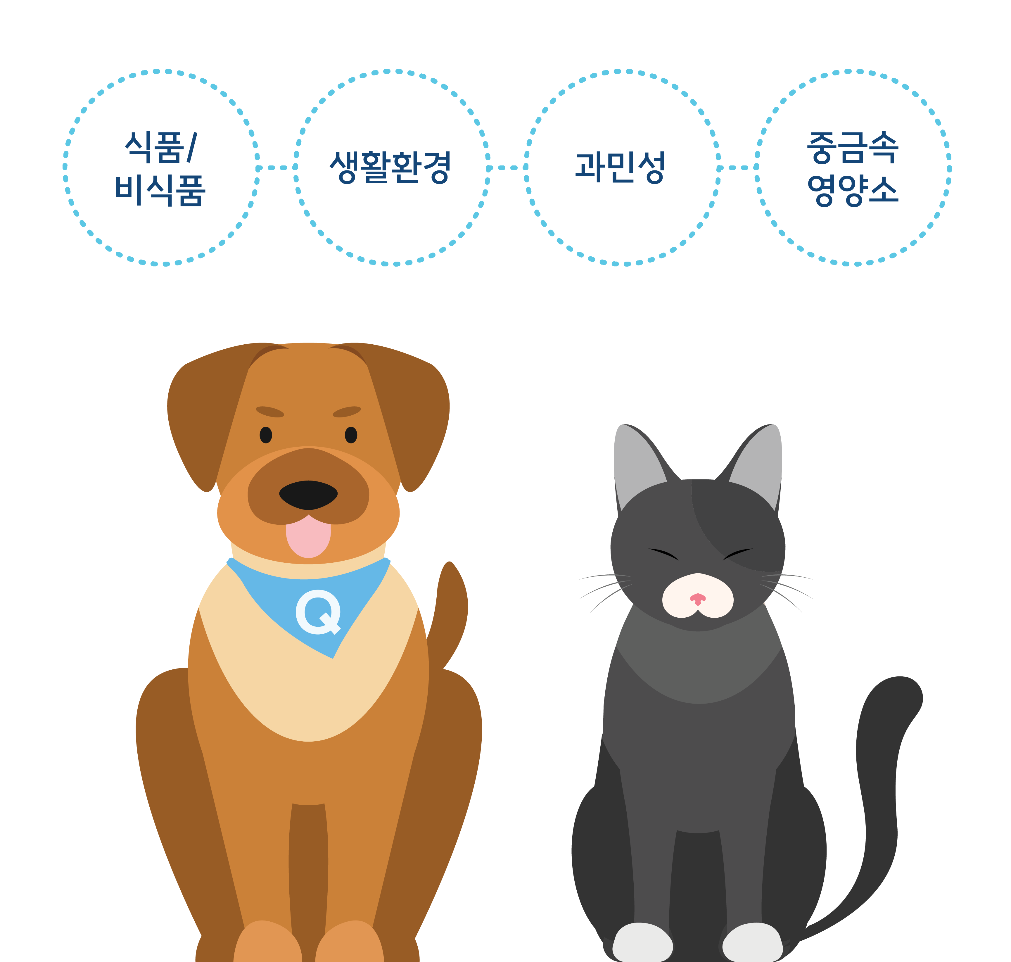 343항목 강아지,고양이 과민성 식품/비식품/영양소/중금속 검사